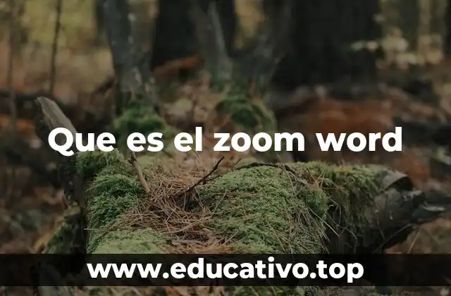 Que es el zoom word