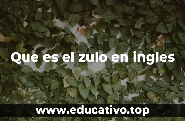 Que es el zulo en ingles
