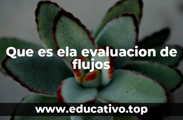 La importancia del análisis financiero en proyectos