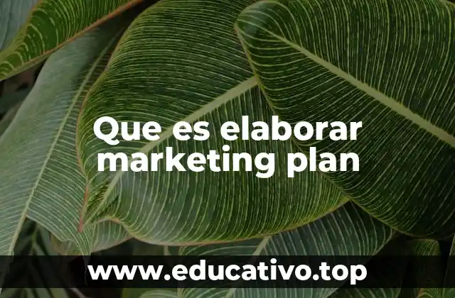Que es elaborar marketing plan