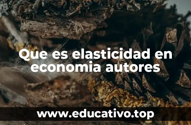 Que es elasticidad en economia autores