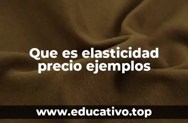 Que es elasticidad precio ejemplos