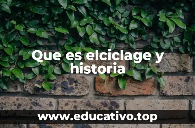 Que es elciclage y historia