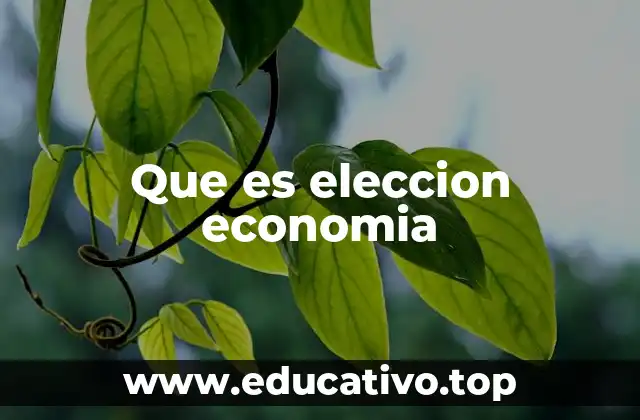 Que es eleccion economia