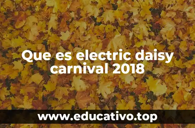 Que es electric daisy carnival 2018