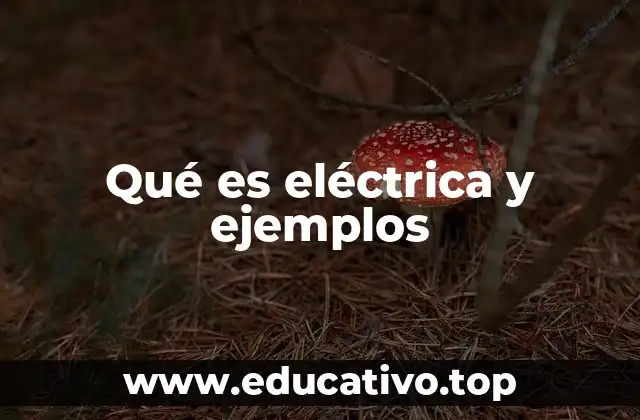 Qué es eléctrica y ejemplos