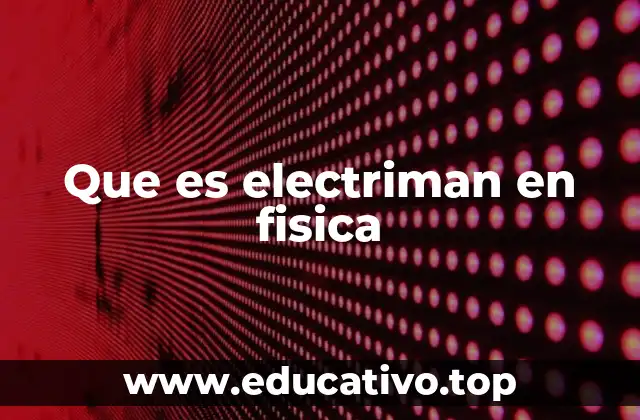 Que es electriman en fisica