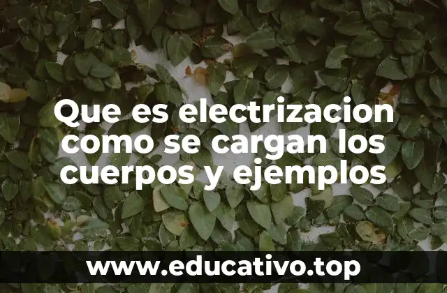 Que es electrizacion como se cargan los cuerpos y ejemplos