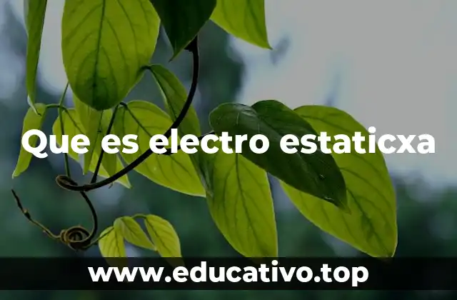 Que es electro estaticxa
