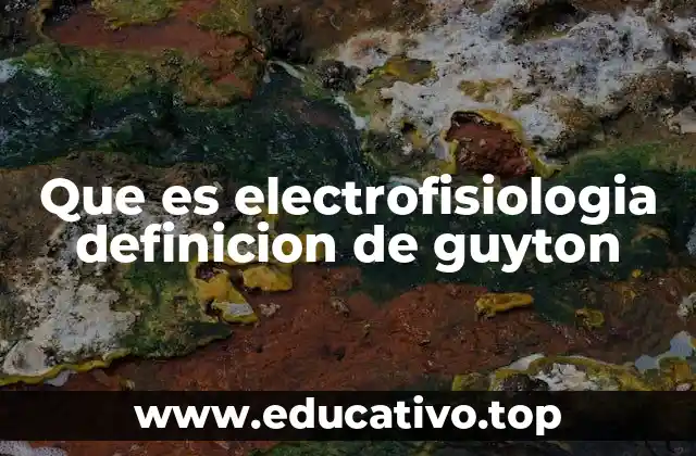 Que es electrofisiologia definicion de guyton