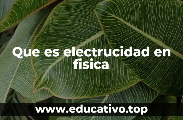 Que es electrucidad en fisica