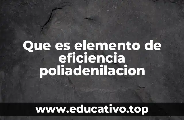 Que es elemento de eficiencia poliadenilacion