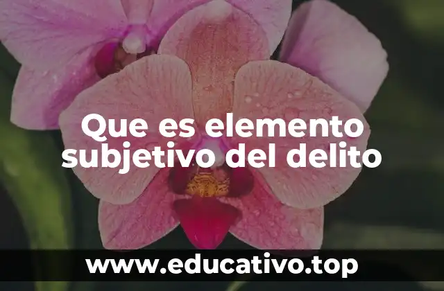 Que es elemento subjetivo del delito