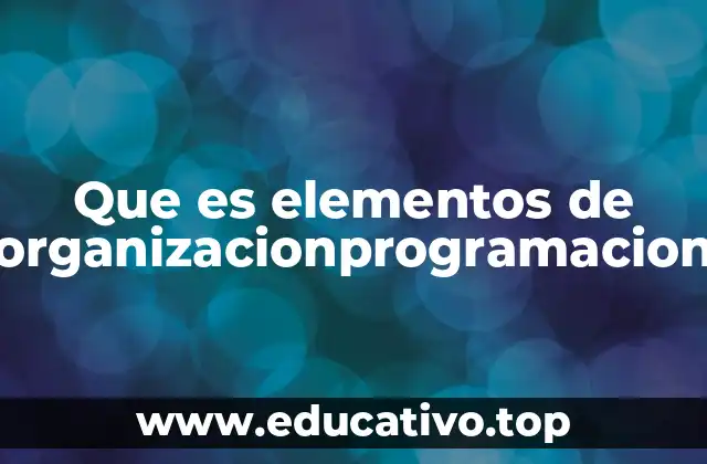 Que es elementos de organizacionprogramacion