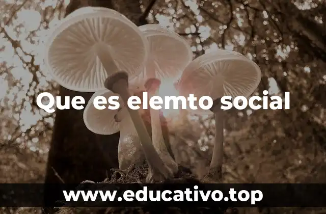 Que es elemto social