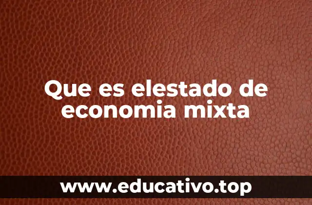 Que es elestado de economia mixta