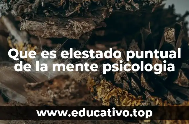Que es elestado puntual de la mente psicologia