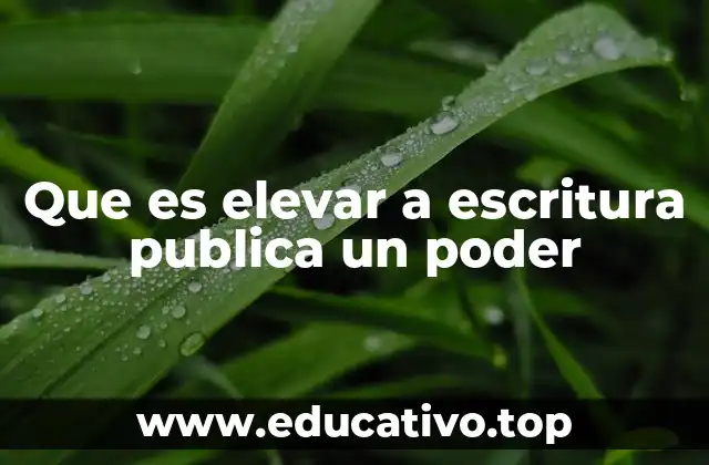 Que es elevar a escritura publica un poder