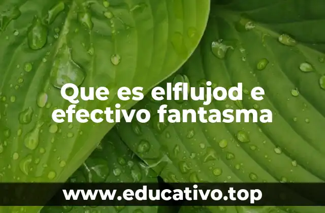 Que es elflujod e efectivo fantasma