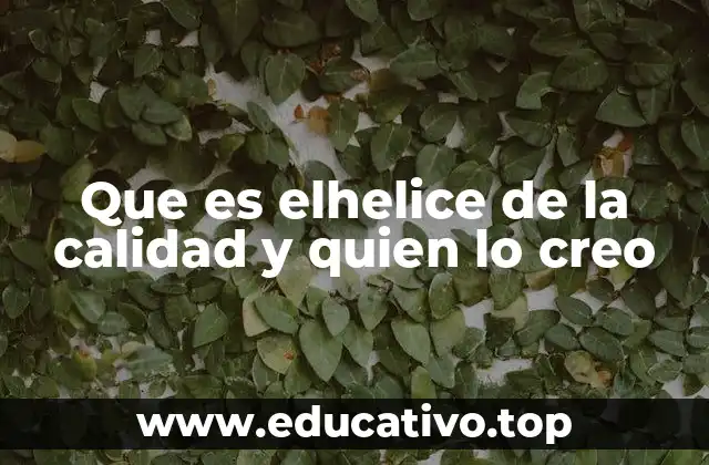 La evolución visual de la calidad en el modelo espiral