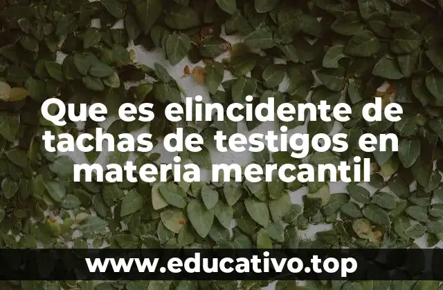 Que es elincidente de tachas de testigos en materia mercantil