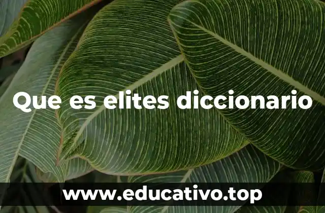 Que es elites diccionario