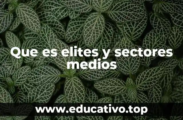 Que es elites y sectores medios