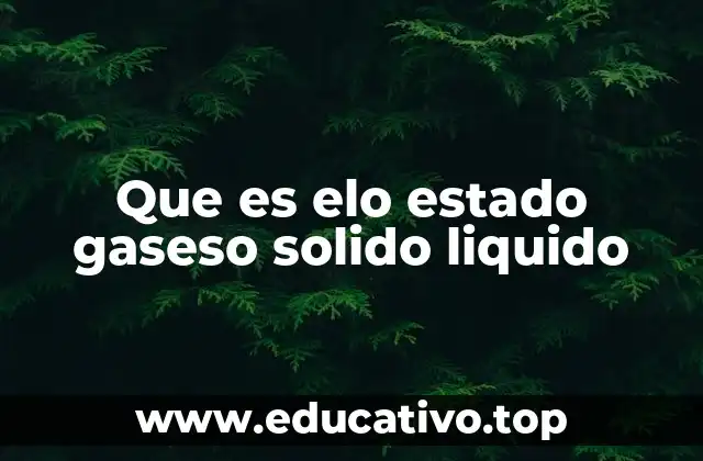 Que es elo estado gaseso solido liquido