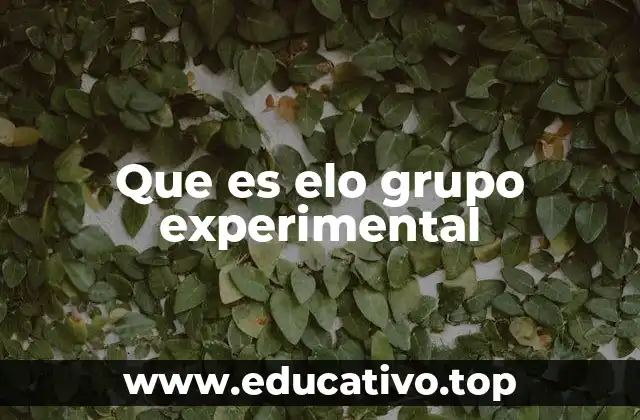 Que es elo grupo experimental