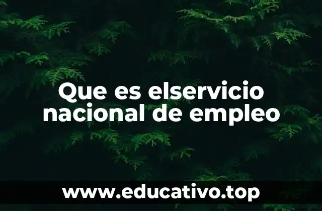 Que es elservicio nacional de empleo