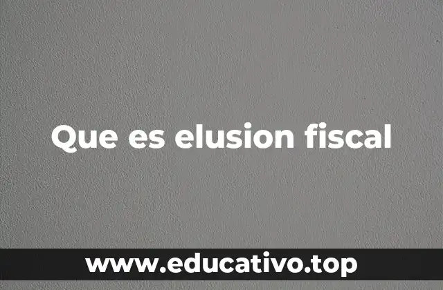 Que es elusion fiscal