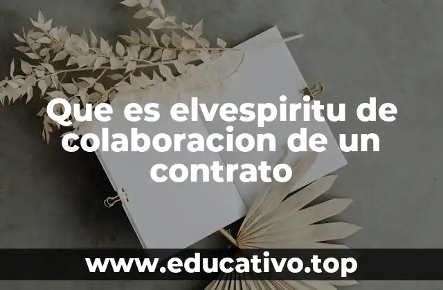 Que es elvespiritu de colaboracion de un contrato