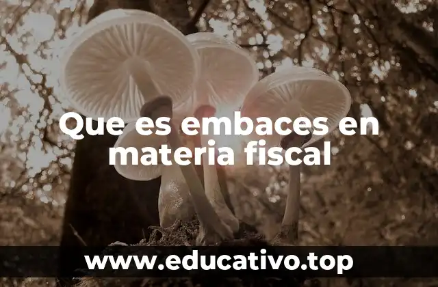 Que es embaces en materia fiscal