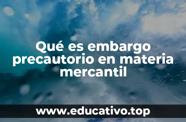 Qué es embargo precautorio en materia mercantil
