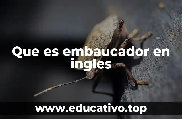 Que es embaucador en ingles