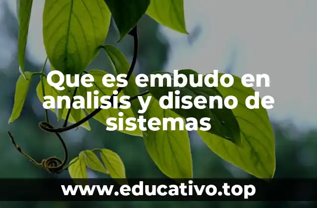 Que es embudo en analisis y diseno de sistemas