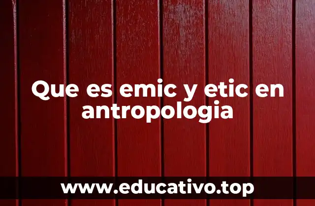 Que es emic y etic en antropologia