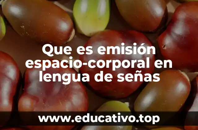 Que es emisión espacio-corporal en lengua de señas