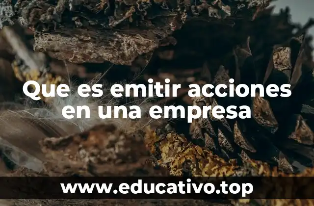 Que es emitir acciones en una empresa