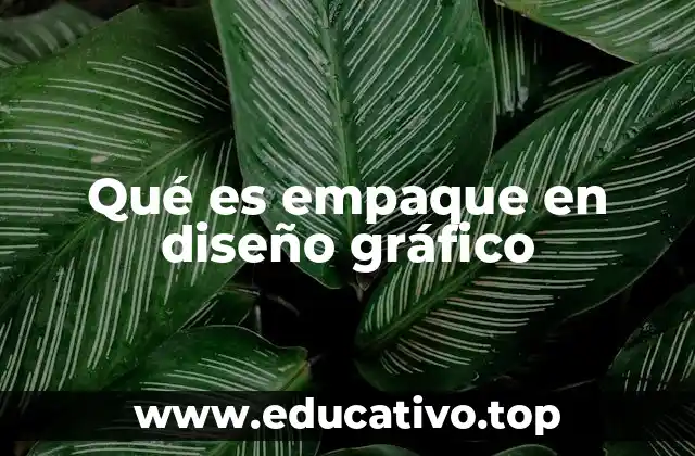 Qué es empaque en diseño gráfico
