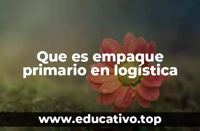 El papel del empaque en la cadena de suministro
