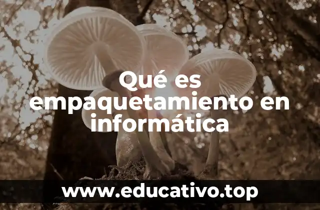 Qué es empaquetamiento en informática