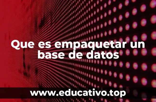 Cómo se logra la portabilidad de los datos mediante empaquetado