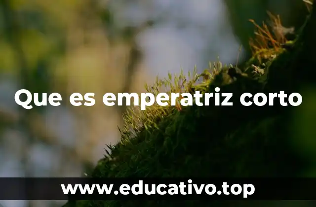 El rol de la emperatriz en la historia