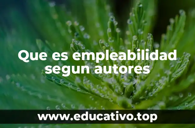 Que es empleabilidad segun autores