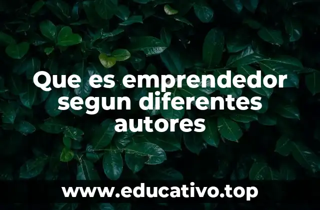 Que es emprendedor segun diferentes autores