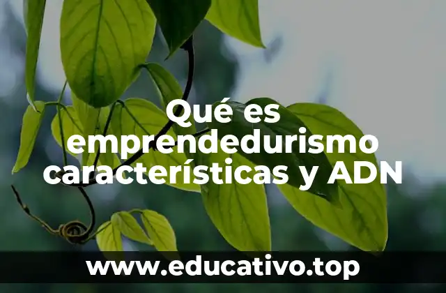 Qué es emprendedurismo características y ADN