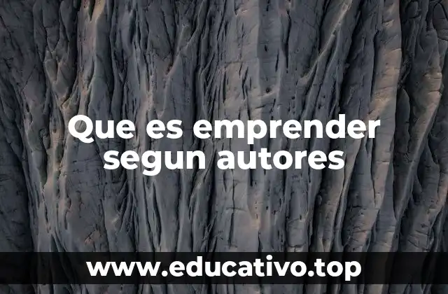 Que es emprender segun autores