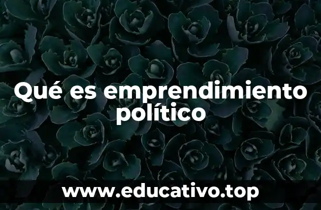 Qué es emprendimiento político