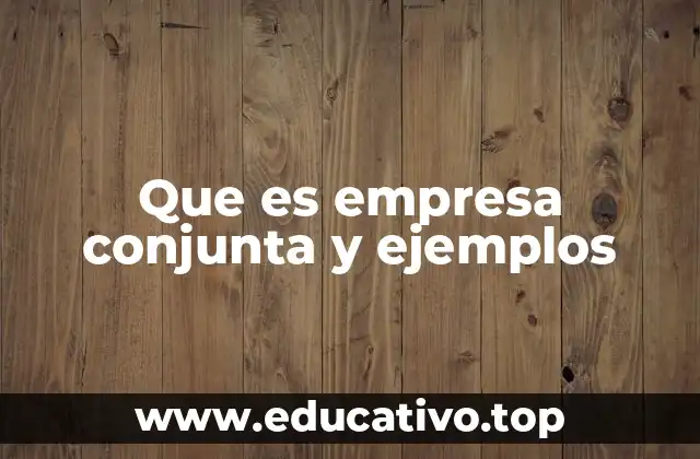 Que es empresa conjunta y ejemplos